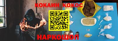 гашик Моздок