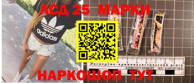 гашик Моздок