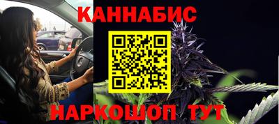 гашик Моздок