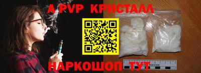 гашик Моздок