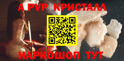 гашик Моздок