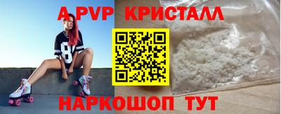 гашик Моздок