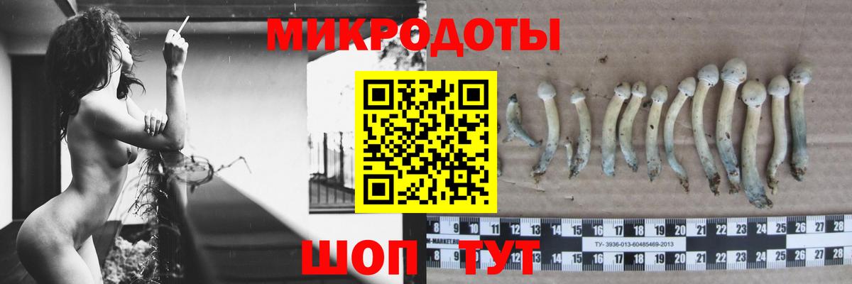Галлюциногенные грибы прущие грибы Владикавказ