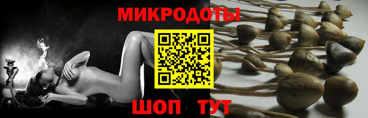 даркнет сайт  Псилоцибиновые грибы Magic Shrooms  Галлюциногенные грибы ЛСД  Вход с VPN  Владикавказ 